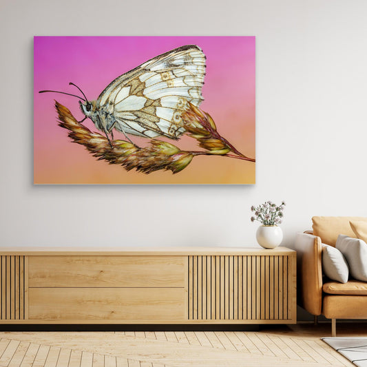 The Angel in the Marble