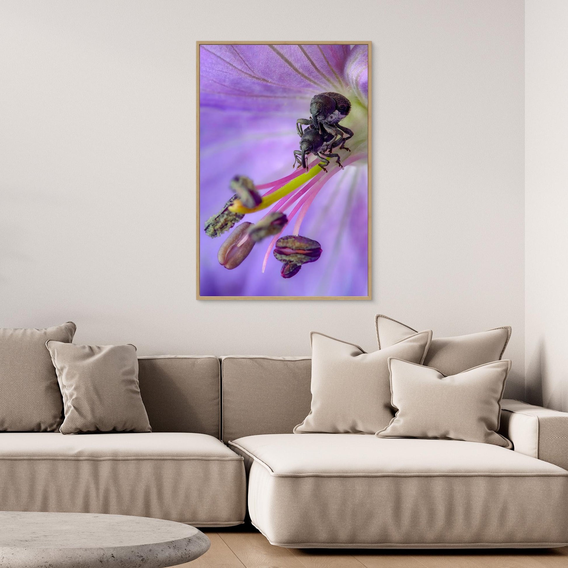 Lovers in the Meadow (Crane's-bill)