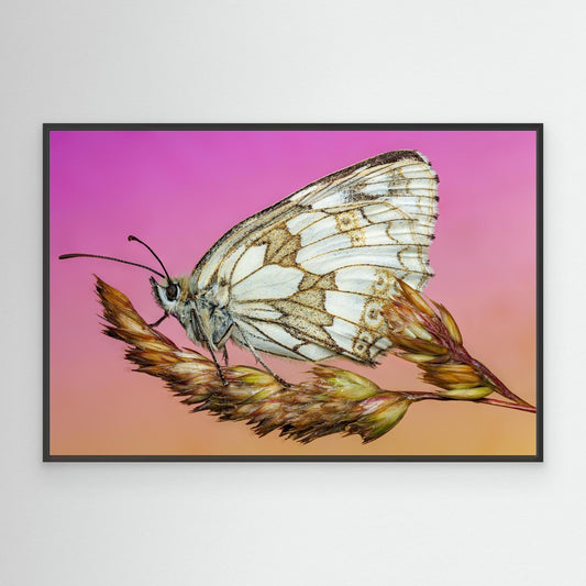 The Angel in the Marble