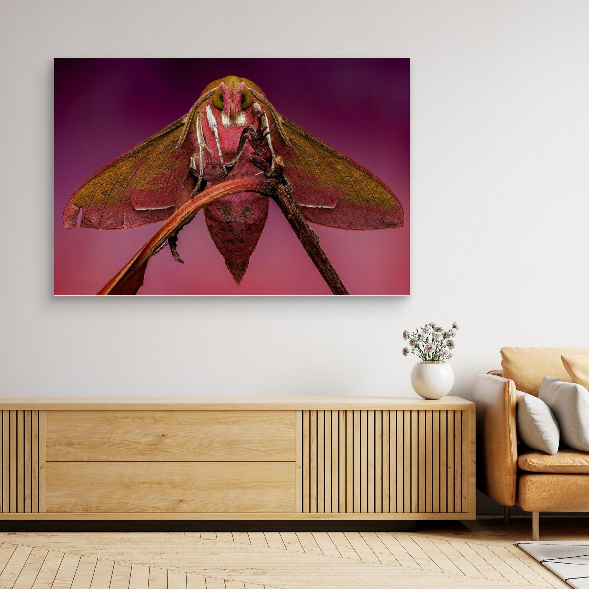 The Elephant in the Room