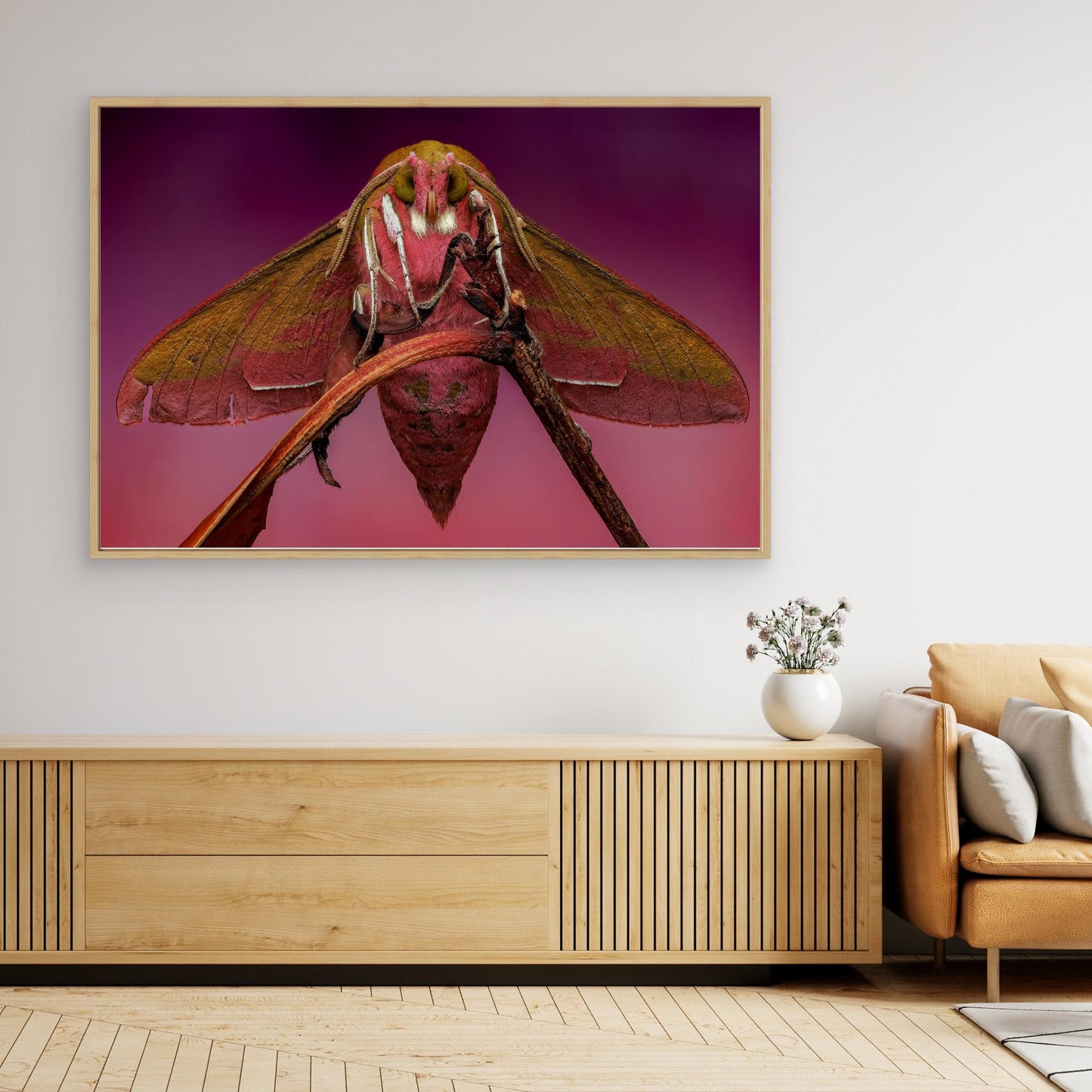 The Elephant in the Room