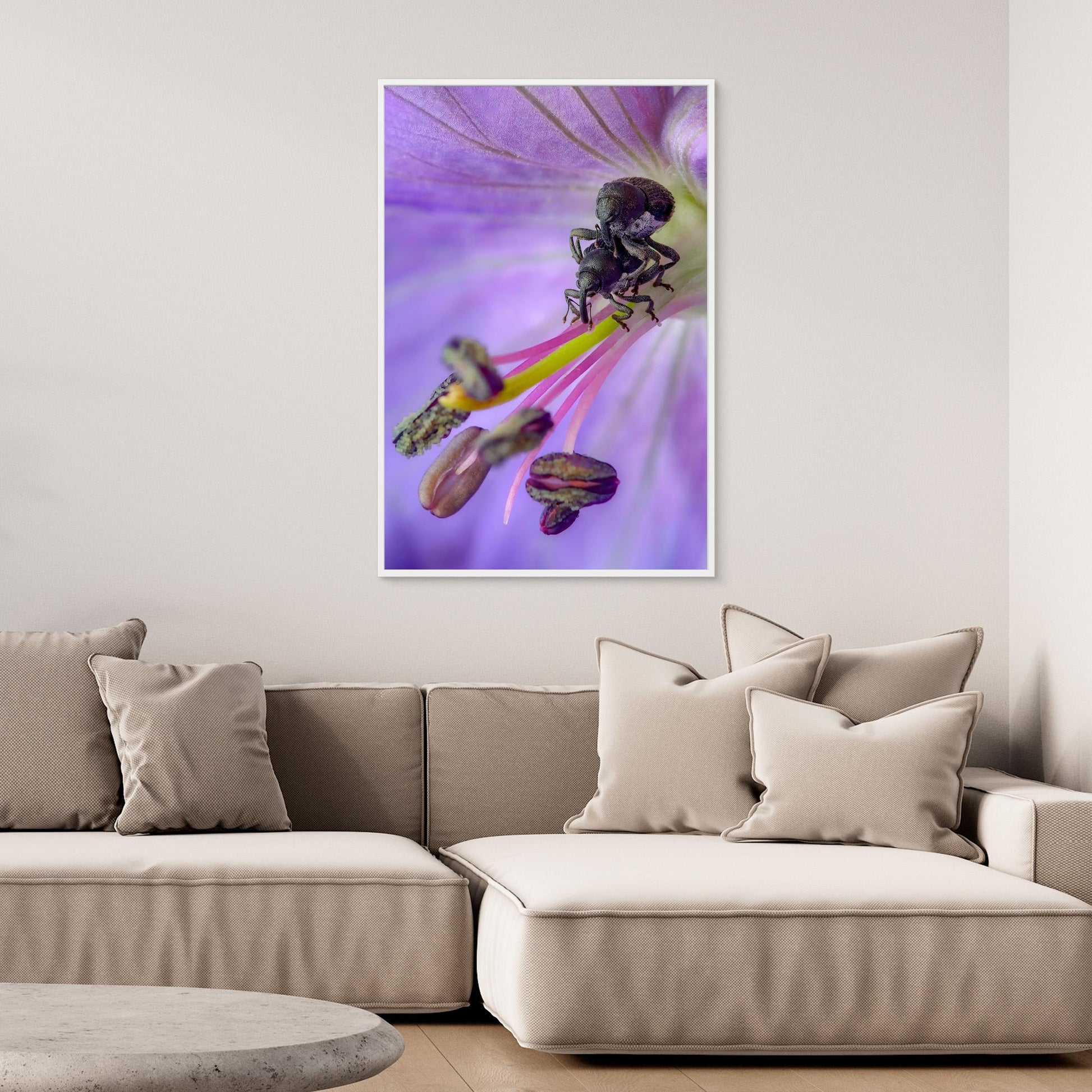 Lovers in the Meadow (Crane's-bill)